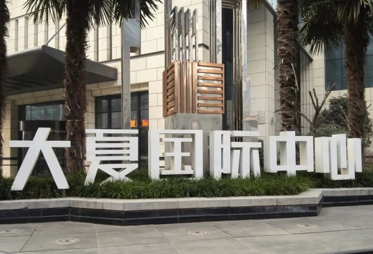大夏国际