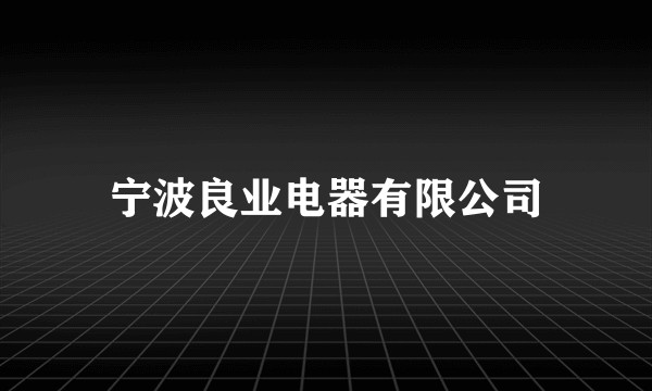 宁波良业电器有限公司