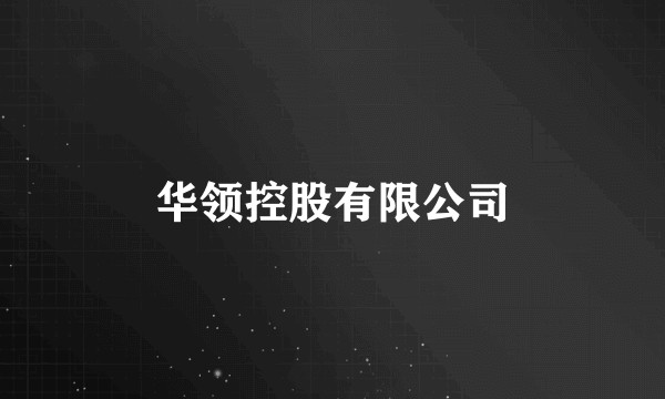 华领控股有限公司