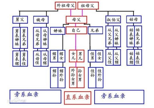 姨兄弟