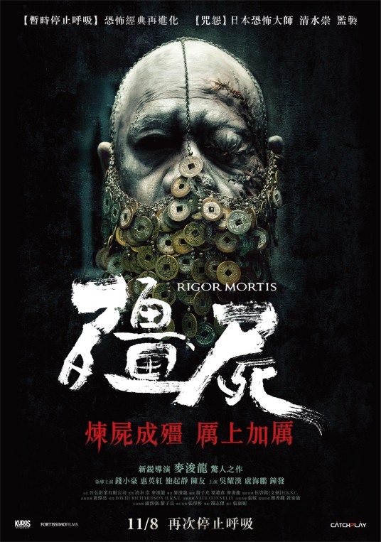 僵尸(2013年麦浚龙执导的电影)