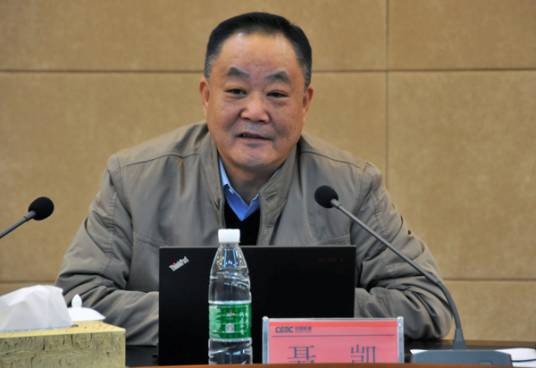 聂凯（中国葛洲坝集团有限公司执行董事）