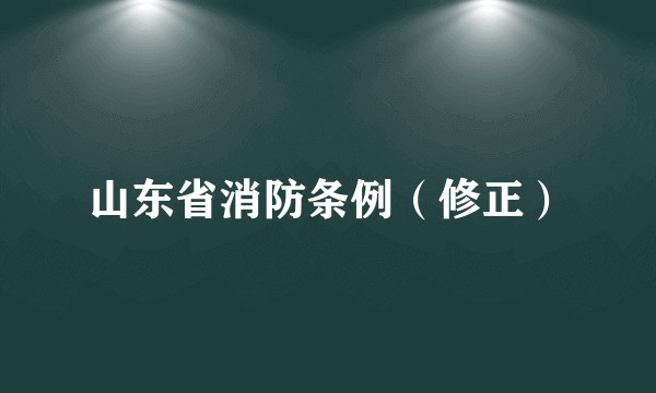 山东省消防条例（修正）