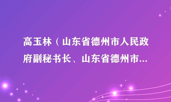 高玉林(山东省德州市人民政府副秘书长、山东省德州市政协副主席)