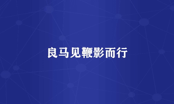 良马见鞭影而行