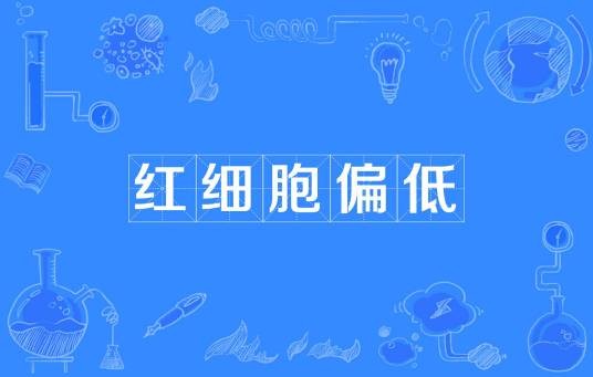 红细胞偏低