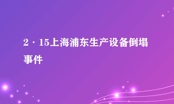 2·15上海浦东生产设备倒塌事件