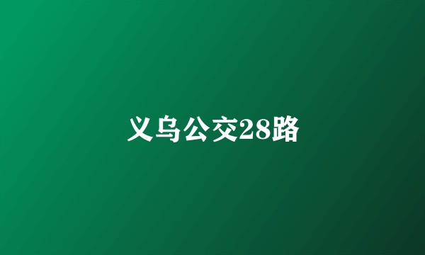 义乌公交28路