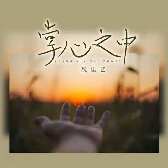掌心之中（魏佳艺演唱的歌曲）
