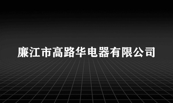 廉江市高路华电器有限公司