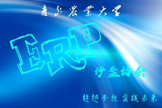 青岛农业大学ERP沙盘协会