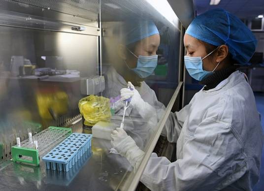 HIV抗体确认实验