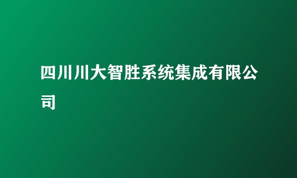四川川大智胜系统集成有限公司
