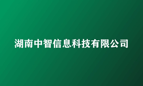 湖南中智信息科技有限公司