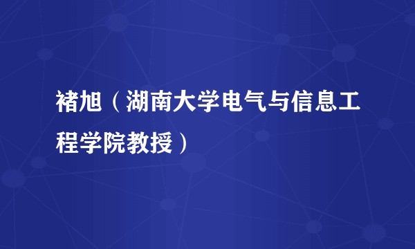 褚旭（湖南大学电气与信息工程学院教授）