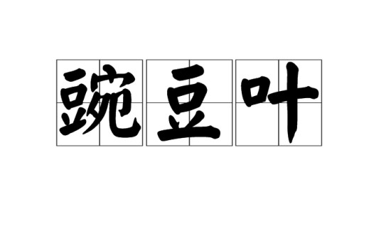 豌豆叶