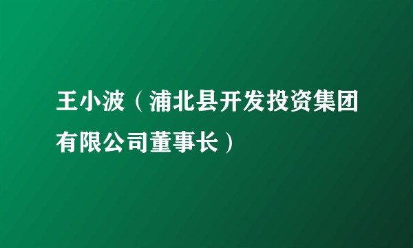 王小波（浦北县开发投资集团有限公司董事长）