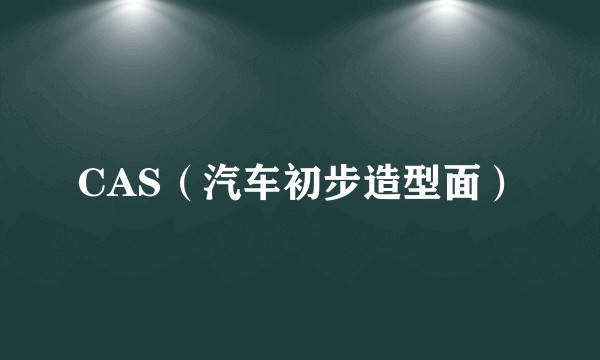 CAS（汽车初步造型面）