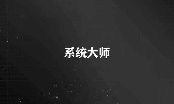 系统大师