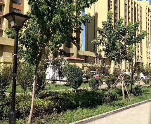 春阳丽景