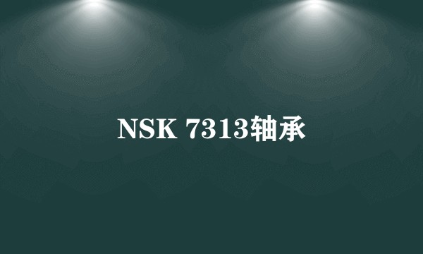 NSK 7313轴承