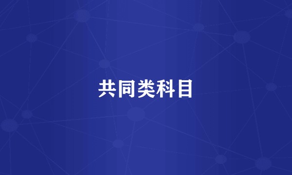 共同类科目