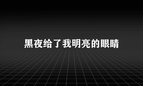 黑夜给了我明亮的眼睛