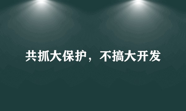共抓大保护，不搞大开发
