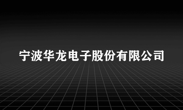 宁波华龙电子股份有限公司