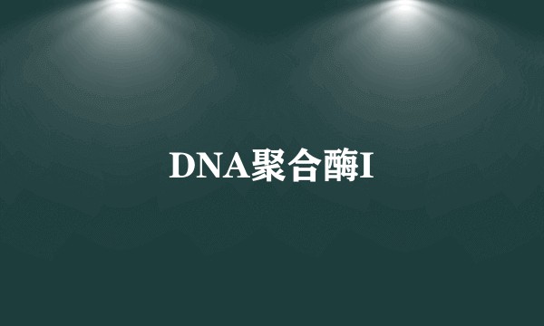 DNA聚合酶I