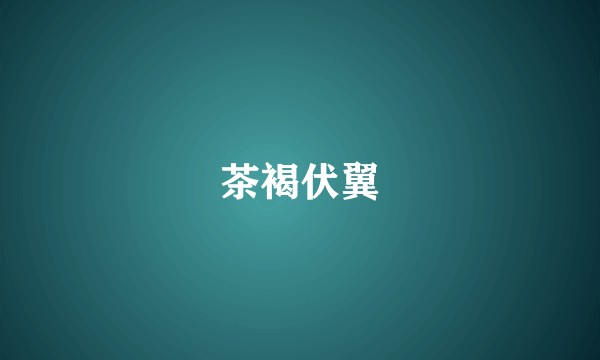 茶褐伏翼