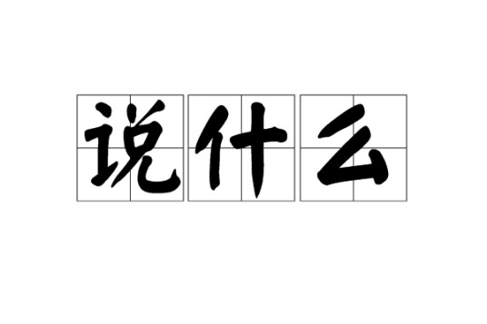 说什么（汉语词语）