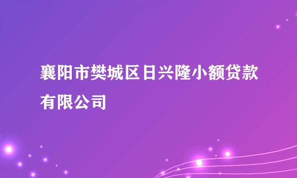 襄阳市樊城区日兴隆小额贷款有限公司