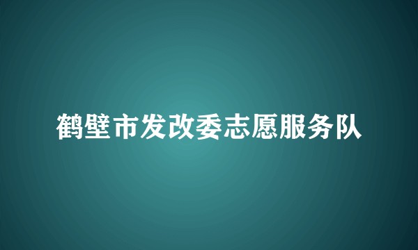 鹤壁市发改委志愿服务队