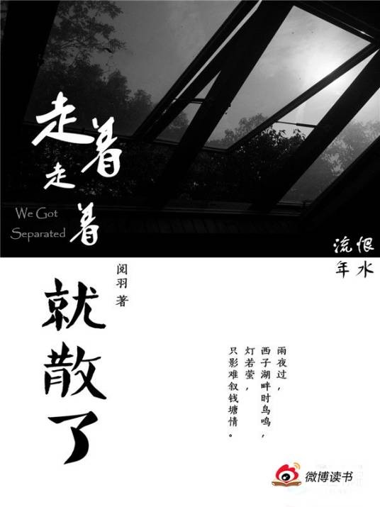 走着走着就散了（阅羽创作小说）