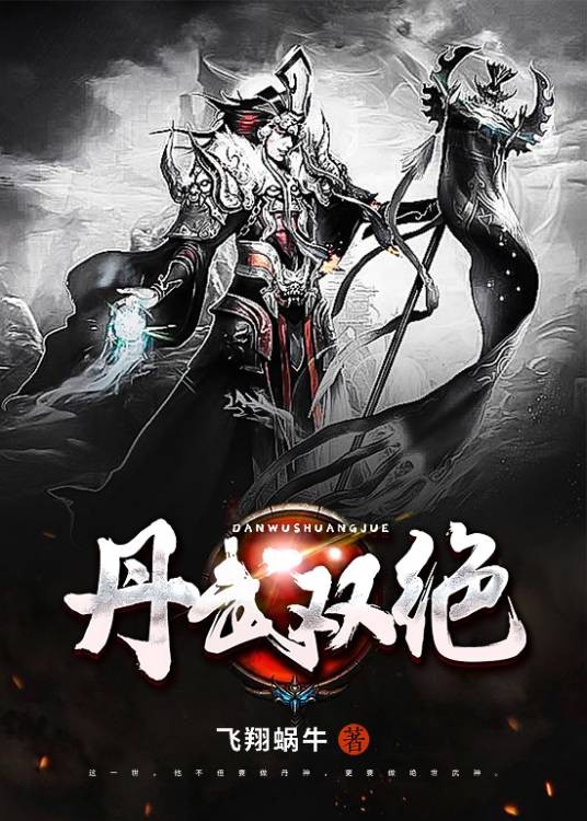 丹武双绝（飞翔蜗牛所著小说）