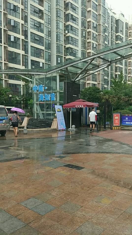 中南海知音