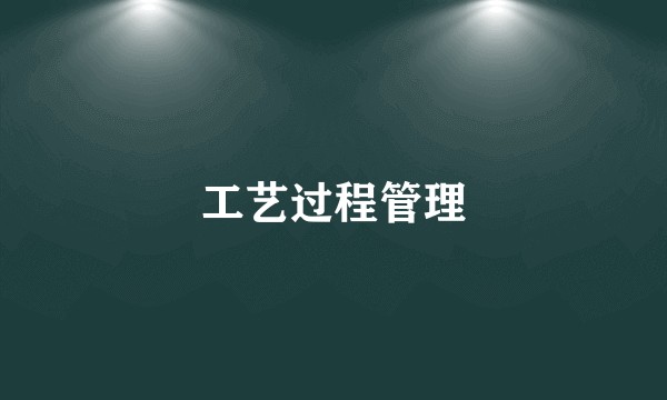 工艺过程管理