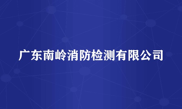 广东南岭消防检测有限公司