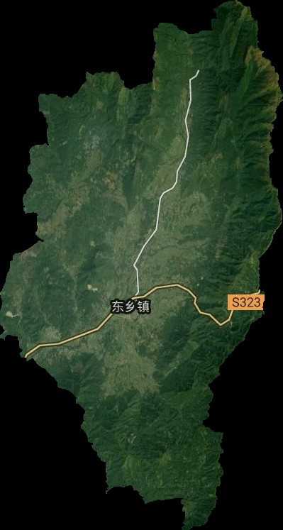 东乡镇（广西壮族自治区来宾市武宣县下辖镇）