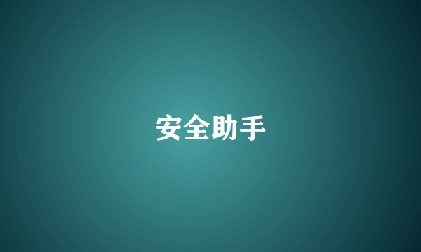 安全助手