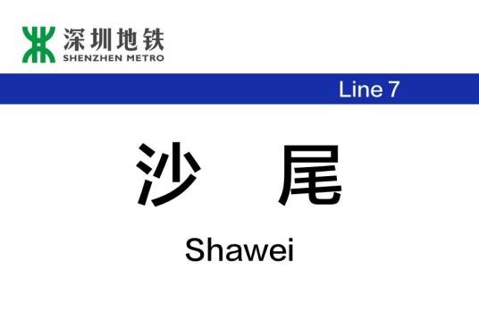 沙尾站（中国广东省深圳市境内地铁车站）