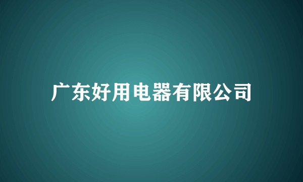 广东好用电器有限公司