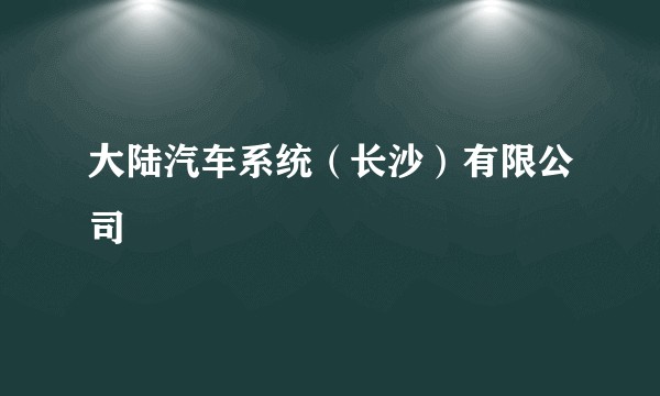 大陆汽车系统（长沙）有限公司