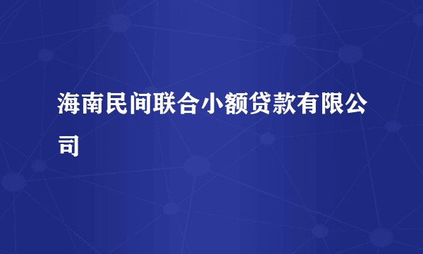 海南民间联合小额贷款有限公司