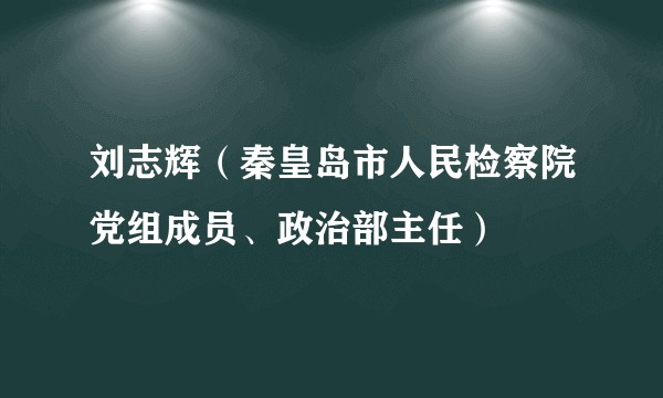 刘志辉（秦皇岛市人民检察院党组成员、政治部主任）