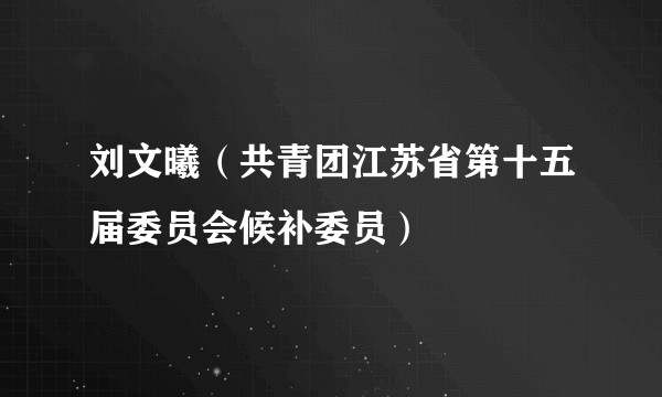 刘文曦（共青团江苏省第十五届委员会候补委员）