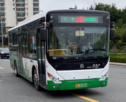 青岛公交11路