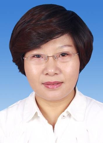 杨琳（天津市河西区教育局局长）