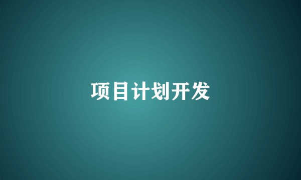 项目计划开发